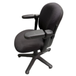 Ergonomic Black Office Chair with Adjustable Arms and Lumbar Support